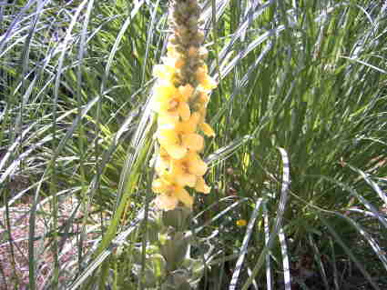 13 07 2007