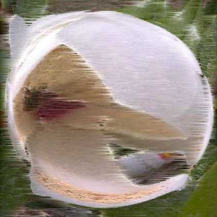 magniola
