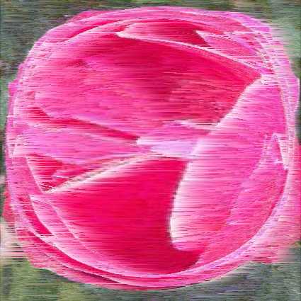 rose_rose